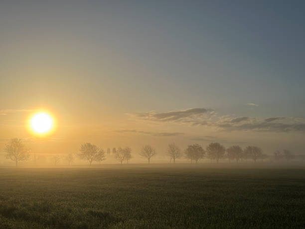 istock Early morning sunrise in a field 1491335431