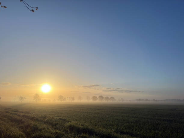 istock Early morning sunrise in a field 1491335677