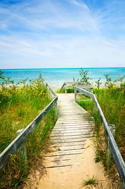 istock Wooden walkway over dunes at beach 149133617