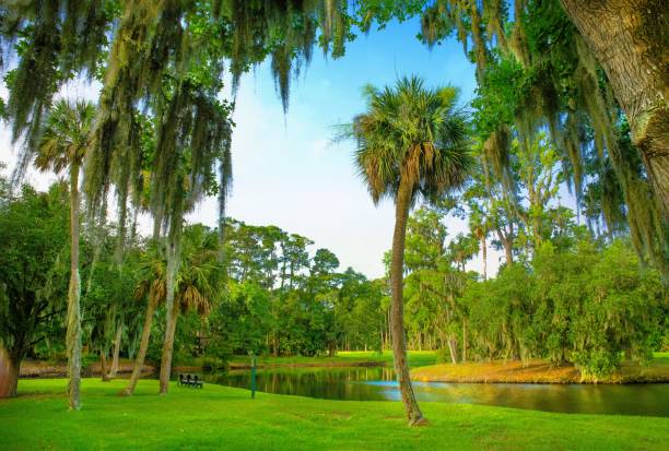 istock Hilton Head Lagoon View- Hilton Head, South Carolina 1491336311