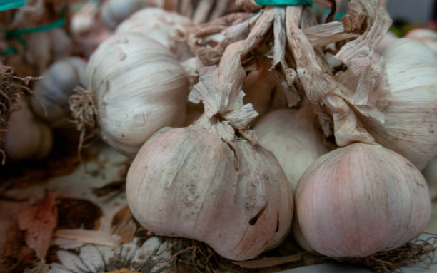 istock Garlic on the market stall 1491336949