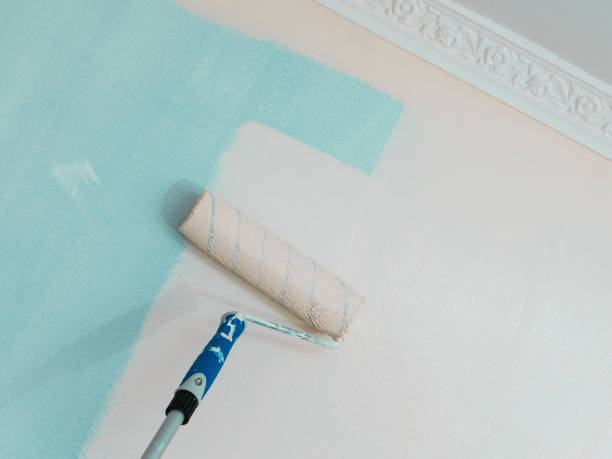 istock Person applying paint on wall 1491337956