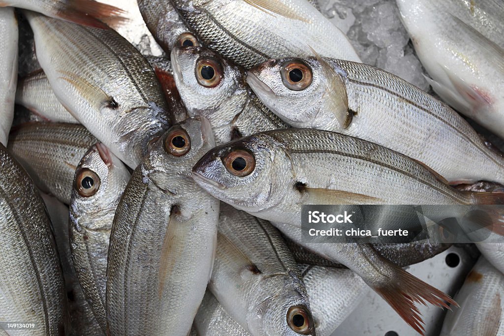 Pescados frescos en mercado - Foto de stock de Algarve libre de derechos