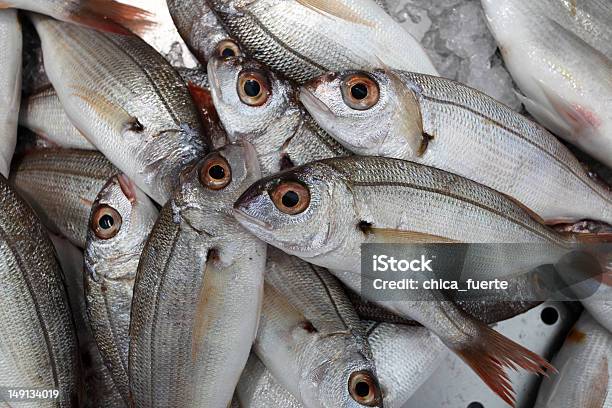 Pesce Fresco Sul Mercato - Fotografie stock e altre immagini di Algarve - Algarve, Bancarella, Close-up