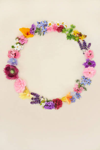 istock Flower Herb and Wildflower Summer Wreath 1491342954