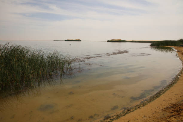 istock general view of the lake 1491344279