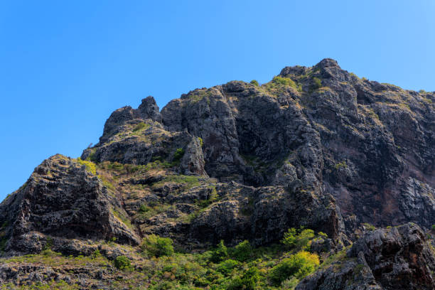 istock Montagne du Morne Brabant. Ile Maurice 1491345762