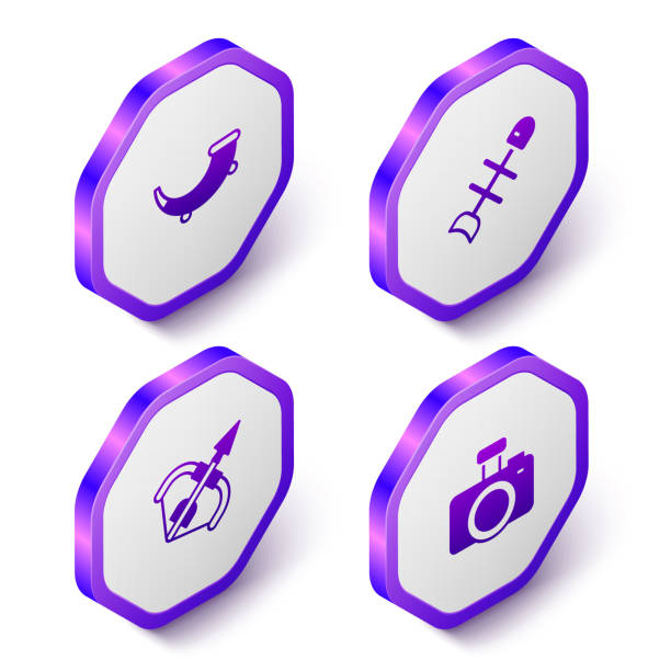 ilustrações de stock, clip art, desenhos animados e ícones de set isometric hunting horn, dead fish, medieval bow and arrow and photo camera icon. purple hexagon button. vector - brass instrument flash