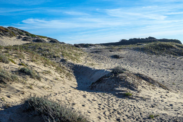 Wide view of oceanside sand dunes, under a cloudy sky.\n\n\nTaken in Santa Cruz County, California, USA