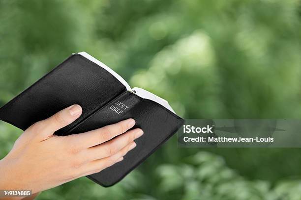 Woman Reading The Bible Stock Photo - Download Image Now - Adult, Beauty, Beauty In Nature