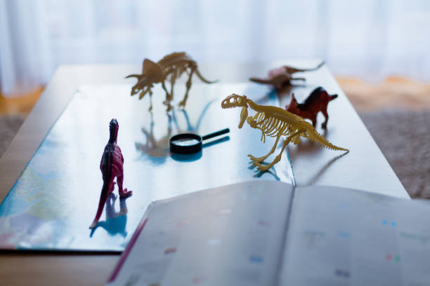 Side view of a table with world map , Encyclopaedia and dinosaur toys for children