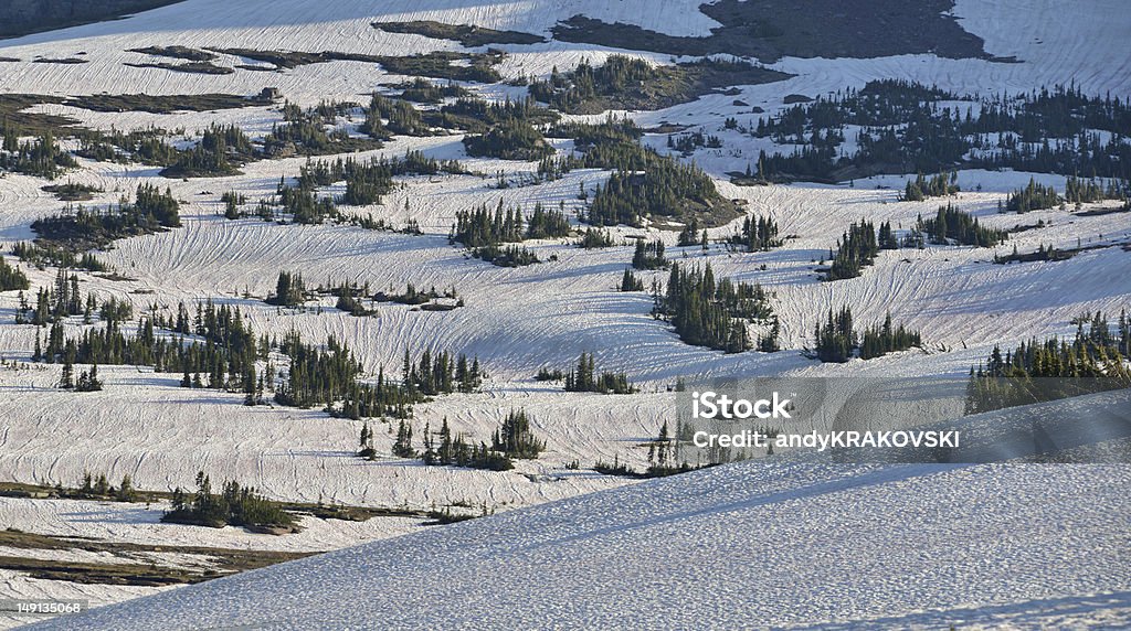 Tessuto da neve - Foto stock royalty-free di Ambientazione esterna