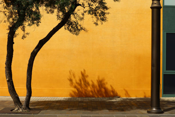 el contraste entre los olivos, las paredes naranjas y la luz del sol del verano que colorea vívidamente la ciudad - scenics building exterior tourist resort orange fotografías e imágenes de stock