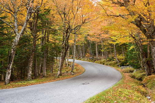 Curve along a steep mountain road through a deciduous forest in autumn. Mount Washington, NH, USA.