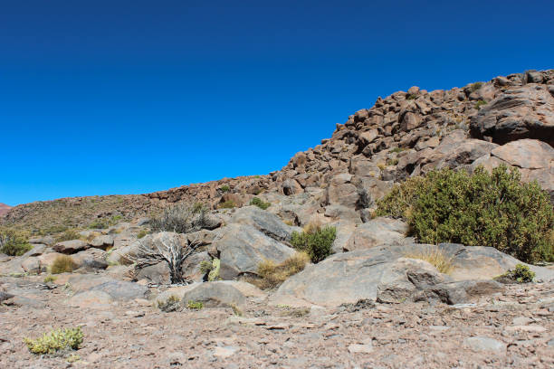 istock Bolivian desert landscape 1491351215