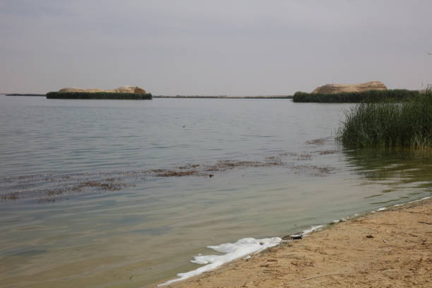 istock Two Islands on the Lake 1491352455