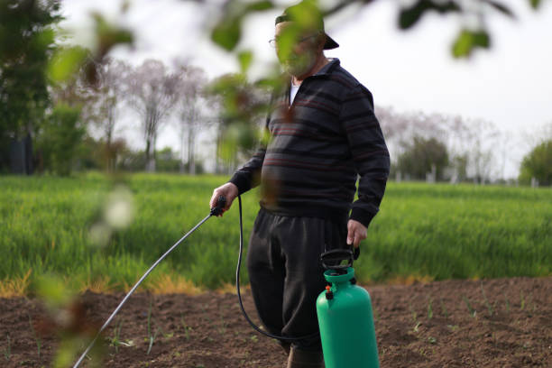 istock Man sprays against plant pests 1491356000