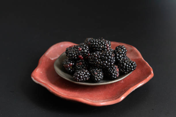 Modern helthy living lifestyle, Black Berry on black background
