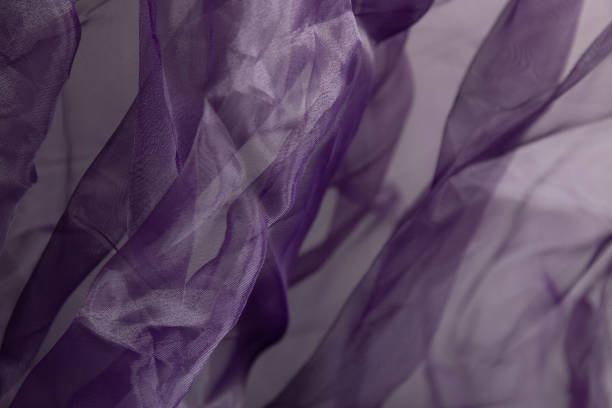 istock abstract background from Aubergine organza fabric 1491359641