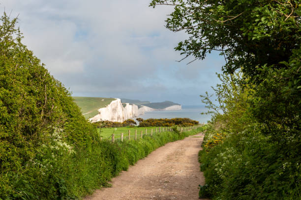 istock The Seven Sisters cliffs on the Sussex coast, on a spring day 1491362113