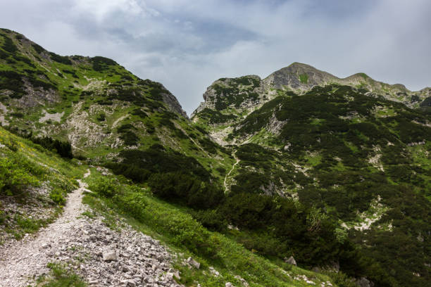 widok na górę vogel i okolice w słowenii - lake bohinj zdjęcia i obrazy z banku zdjęć