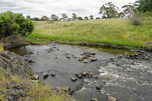Moorabool River in the Ballarat Country