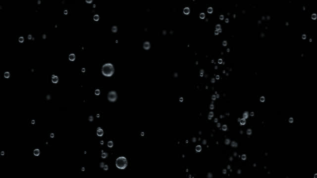 Water bubbles underwater floating, Isolated transparent background. Alpha channel ready.