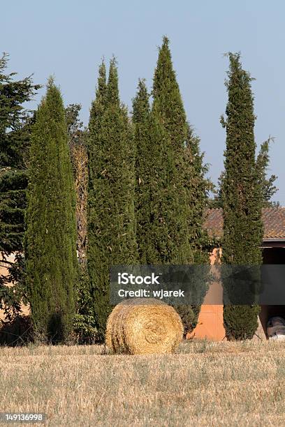 Golden Hay Bales Auf Einem Feld Stockfoto und mehr Bilder von Agrarbetrieb - Agrarbetrieb, Bail, Chianti-Region