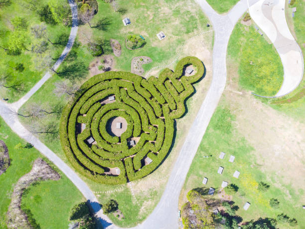 istock Aerial view of labyrinth 1491370427