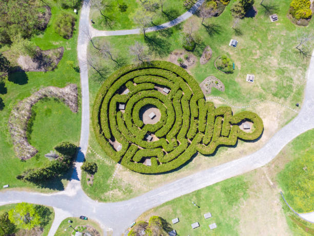 istock Aerial view of labyrinth 1491370437