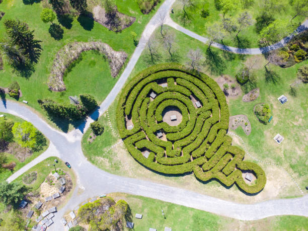 istock Aerial view of labyrinth 1491370443
