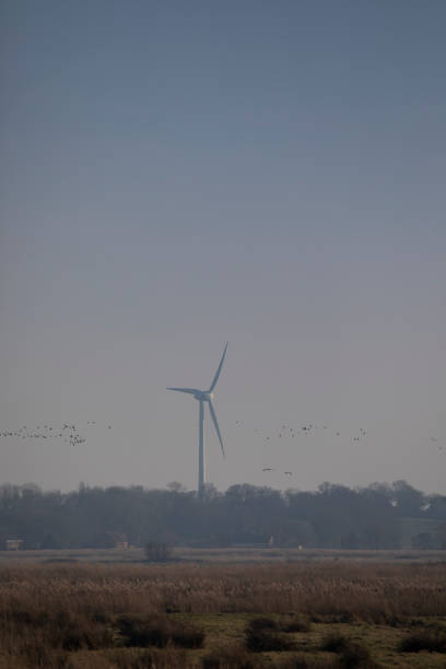 A wind turbine generating electricity at dusk in February, near Horsey, Norfolk, England, United Kingdom