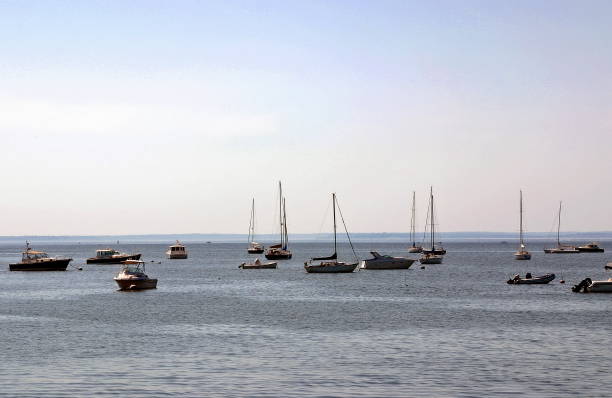 istock Sailboats in Harbor 1491373627