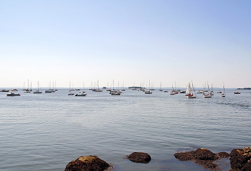 Boats anchored on Long Island Sound - Greenwich, Connecticut