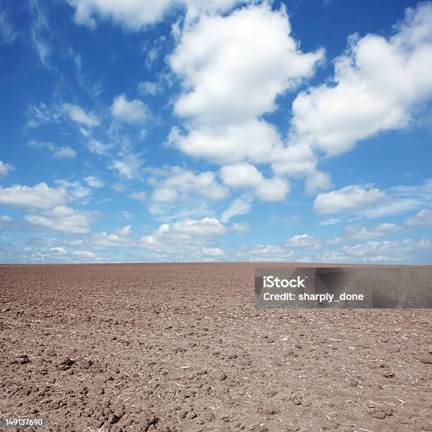 Xxxl Terra Brulla Farm Campo - Fotografie stock e altre immagini di Siccità - Siccità, Campo, Fattoria