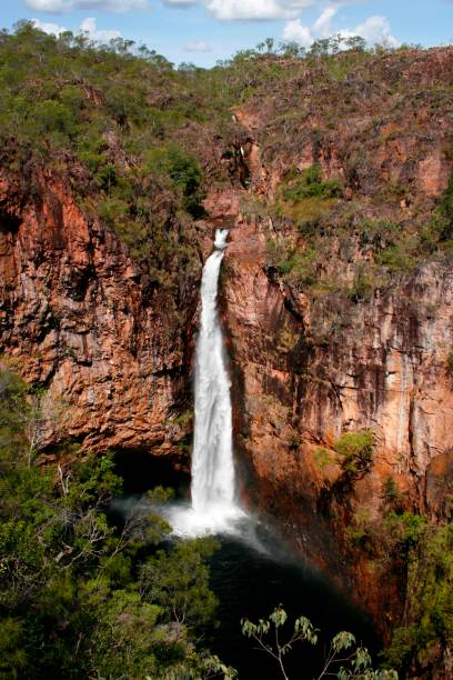 wangi falls - wangi falls zdjęcia i obrazy z banku zdjęć