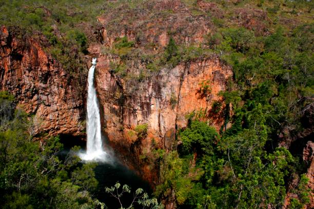 wangi falls - wangi falls zdjęcia i obrazy z banku zdjęć