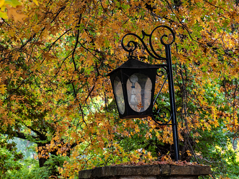 Street lamp surrounded by autumn leaves in Bright in the Victorian High Country