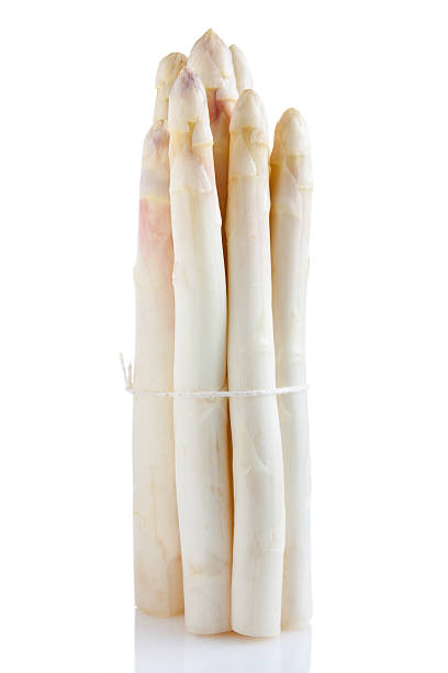 istock Bunch of white asparagus with a rope 149139338