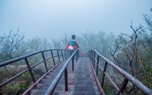 Tourist enjoying hike in Wolchulsan national park during trip in Yeongam,   South Korea, on  Sunday April 22, 2018