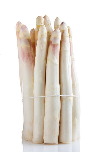 istock Bunch of white asparagus with a rope 149139343