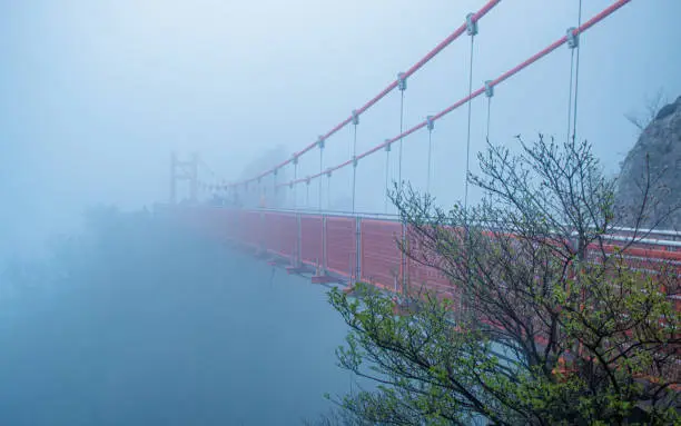 Landscape view of Cloud Bridge during foggy in Wolchulsan national Park, Yeongam, South Korea.