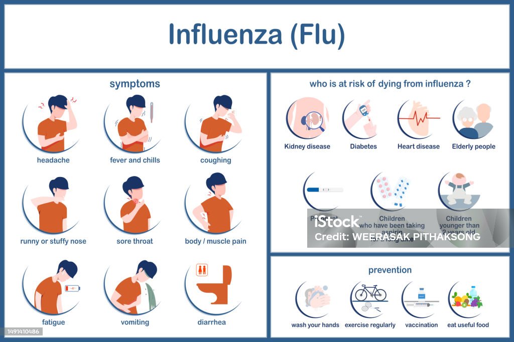 Regular Flu Influenza Symptoms Stock Illustration - Download Image Now - Allergy ...