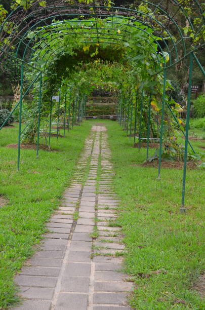 istock nature view .at the lion nature education center 1491411270