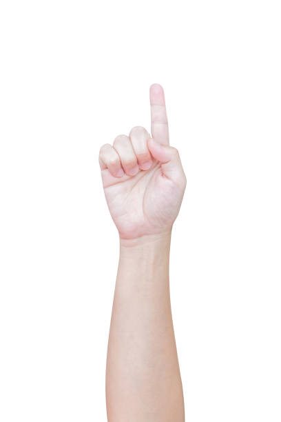 istock man hand gesture show number one sign isolated on white background 1491411943