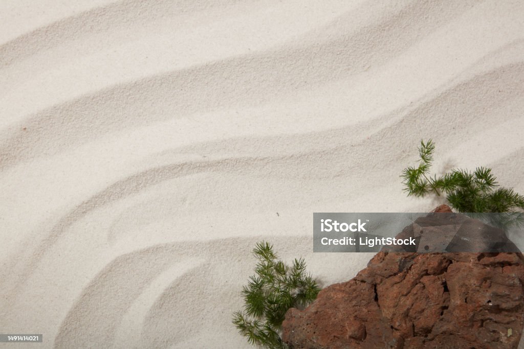 SAND Top view of brown rock and green grass on beige sand background with wave pattern. Blank space for display product or text and design. Natural concept Advertisement Stock Photo