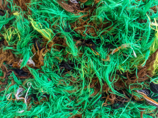 istock Abstract textures such as organic fibers on the floor. 1491415995
