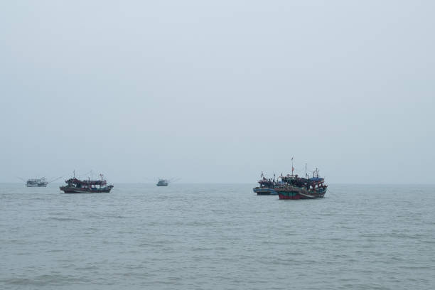istock Rows of fishing net boats parked 1491417366