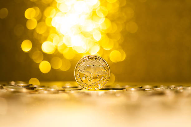 Fujian, China - December 28, 2021: Shiba Inu cryptocurrency on shiny background.