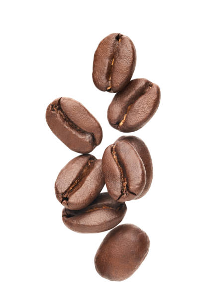 istock Macro of roasted coffee beans 1491426818